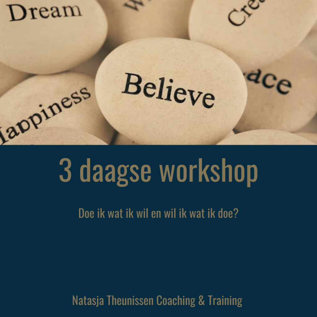 3 daagse workshop persoonlijk leiderschap 3 daagse workshop persoonlijk leiderschap