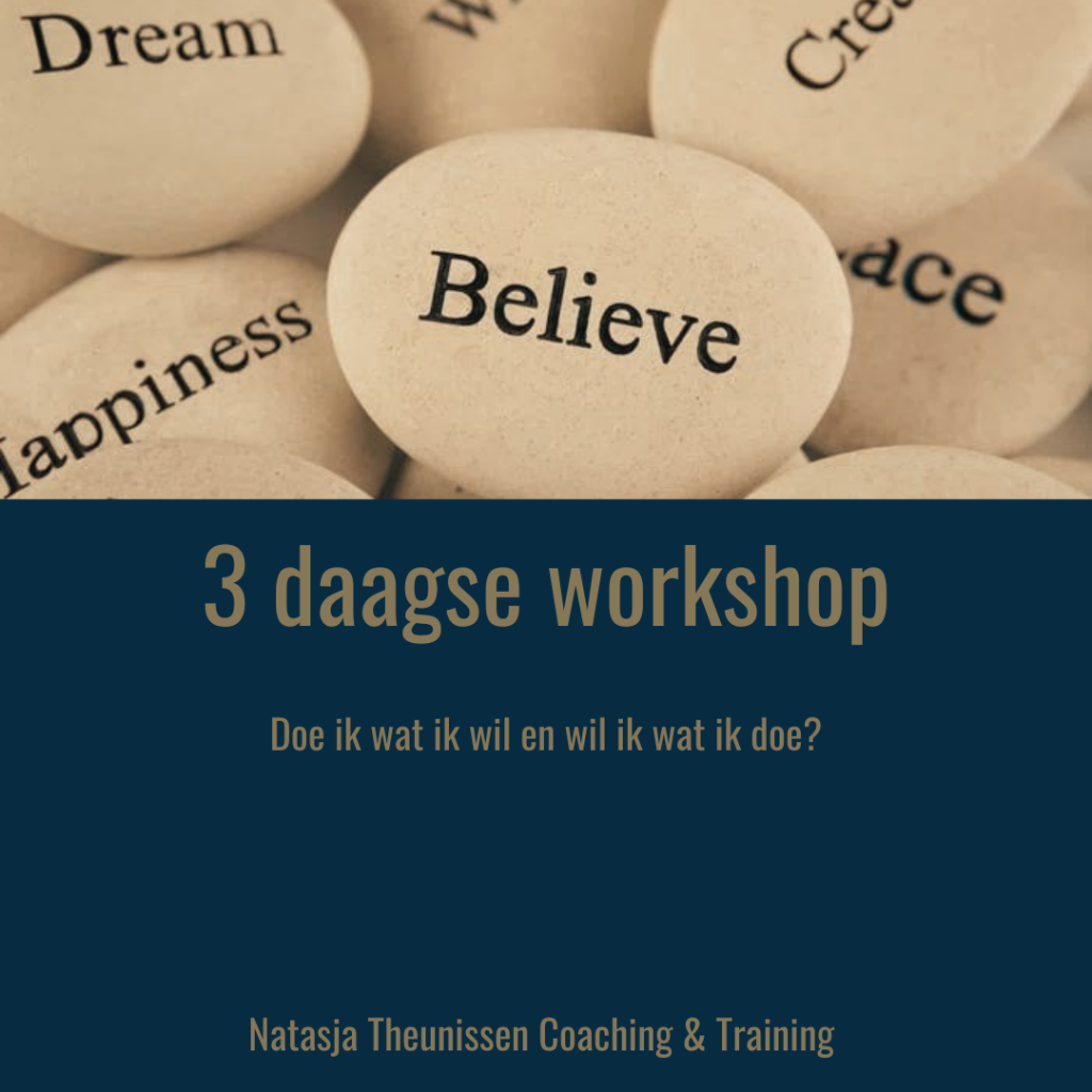 3 daagse workshop persoonlijk leiderschap